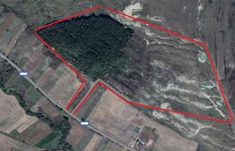 Teren 40 Hectare, Locuinta, 3 lacuri, zona Alunis