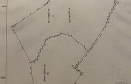 Teren 40 Hectare, Locuinta, 3 lacuri, zona Alunis