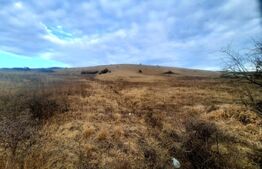 Teren intravilan 2900mp, situat in cartierul Sopor 