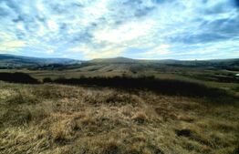 Teren intravilan 2900mp, situat in cartierul Sopor 