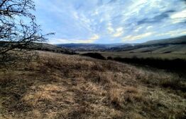 Teren intravilan 2900mp, situat in cartierul Sopor 