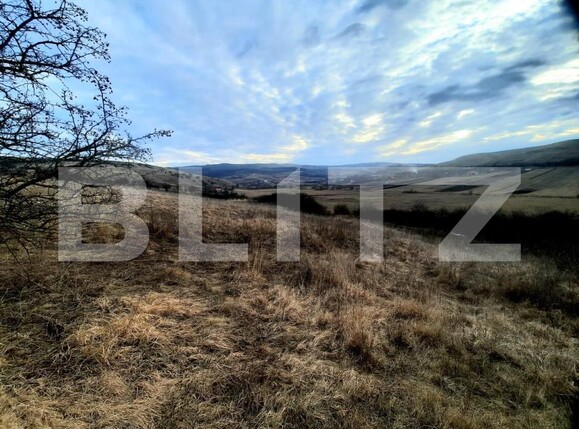 Teren de vânzare Sopor - 147197TV | BLITZ Cluj-Napoca | Poza1