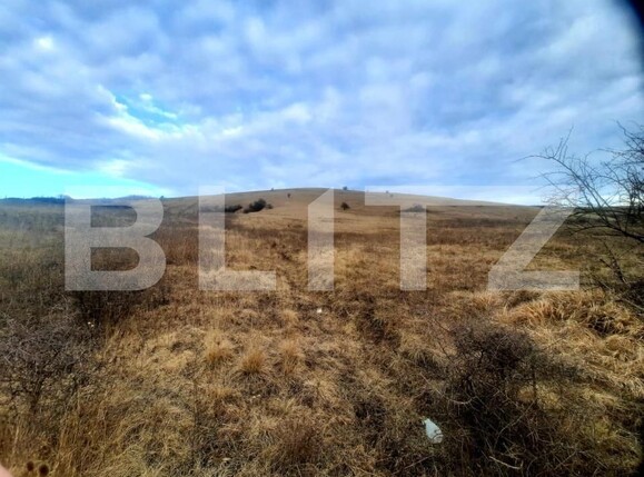 Teren de vânzare Sopor - 147197TV | BLITZ Cluj-Napoca | Poza5