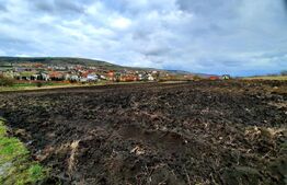 Teren intravilan 7600mp,situat in Chinteni ,in zona centrala