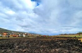 Teren intravilan 7600mp,situat in Chinteni ,in zona centrala