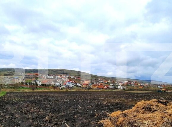 Teren de vânzare Chinteni - 147199TV | BLITZ Cluj-Napoca | Poza3