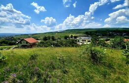 Teren intravilan in curs de autorizare duplex, 980 mp, situat in UTR-Lir, Iris