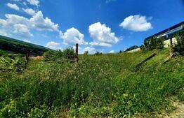 Teren intravilan in curs de autorizare duplex, 980 mp, situat in UTR-Lir, Iris