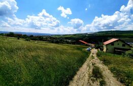 Teren intravilan in curs de autorizare duplex, 980 mp, situat in UTR-Lir, Iris