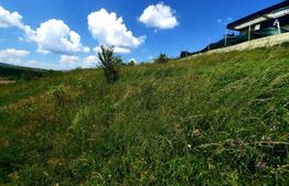 Teren intravilan in curs de autorizare duplex, 980 mp, situat in UTR-Lir, Iris