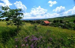 Teren intravilan in curs de autorizare duplex, 980 mp, situat in UTR-Lir, Iris