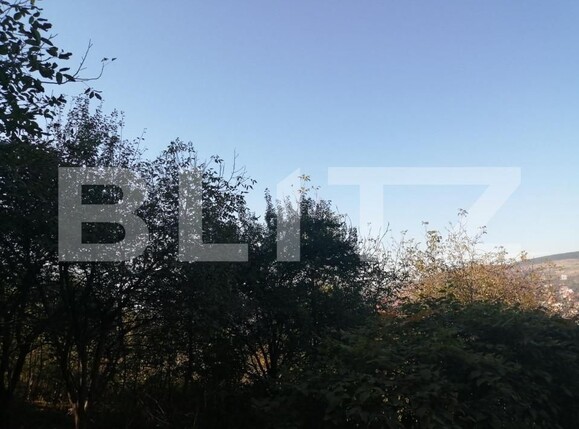 Teren de vânzare Gruia - 147203TV | BLITZ Cluj-Napoca | Poza1