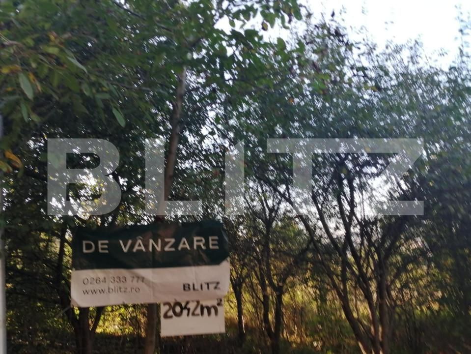 Teren de vânzare Gruia - 147203TV | BLITZ Cluj-Napoca | Poza3