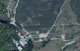 Reducere de pret! Teren intravilan 6200 mp in zona Wonderland