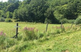 Teren de vanzare, 3080 mp, zona Terasei Capus