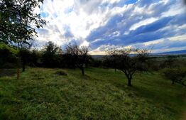 Teren intravilan 2100 mp in cartierul Sopor cu panorama deosebita