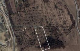 Teren intravilan 2100 mp in cartierul Sopor cu panorama deosebita