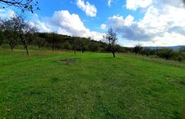 Teren intravilan 2100 mp in cartierul Sopor cu panorama deosebita