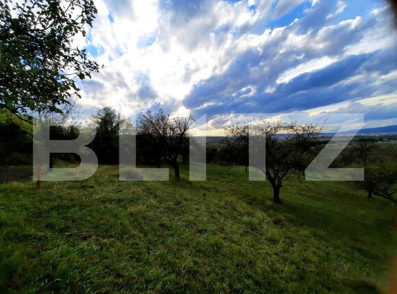 Teren de vânzare Sopor - 147221TV | BLITZ Cluj-Napoca | Poza4