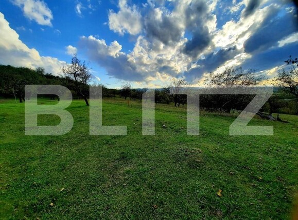 Teren de vânzare Sopor - 147221TV | BLITZ Cluj-Napoca | Poza2