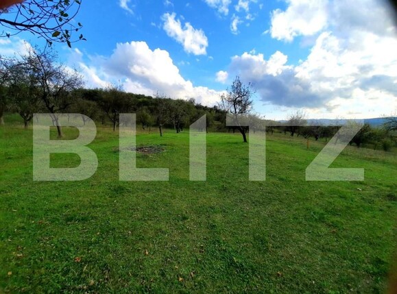 Teren de vânzare Sopor - 147221TV | BLITZ Cluj-Napoca | Poza1