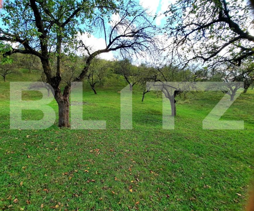 Teren de vânzare Sopor - 147221TV | BLITZ Cluj-Napoca | Poza3