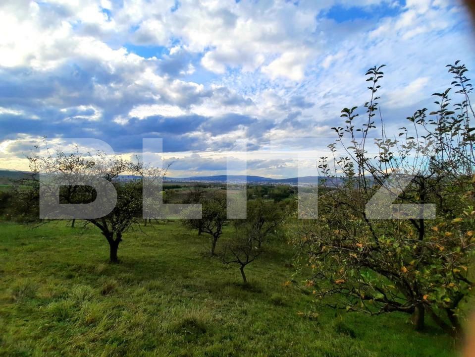 Teren de vânzare Sopor - 147221TV | BLITZ Cluj-Napoca | Poza5