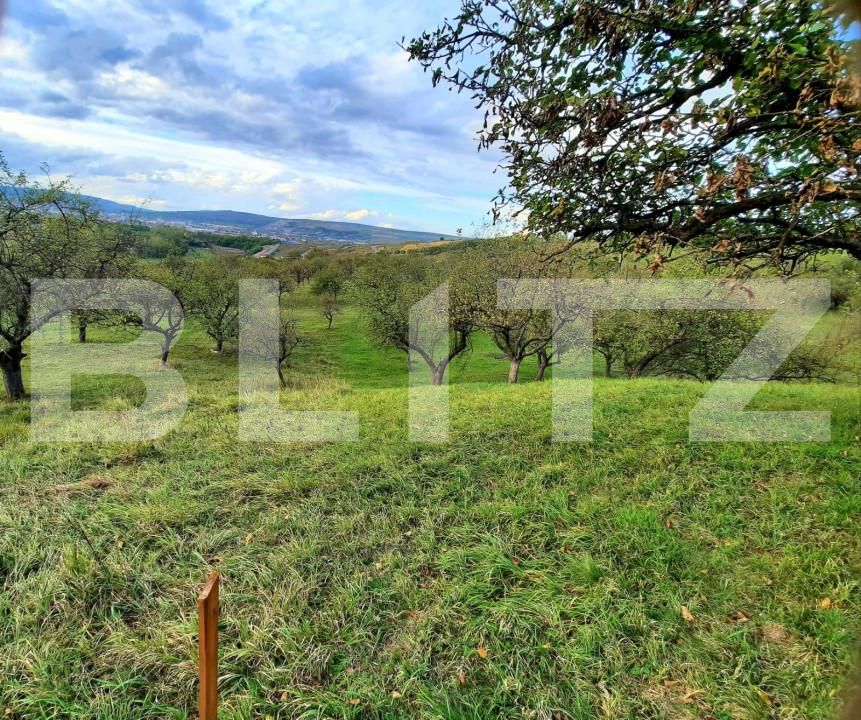 Teren de vânzare Sopor - 147221TV | BLITZ Cluj-Napoca | Poza6