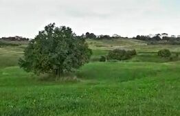 Teren intravilan ,4039 mp,in cartierul Borhanci