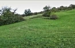 Teren intravilan ,4039 mp,in cartierul Borhanci