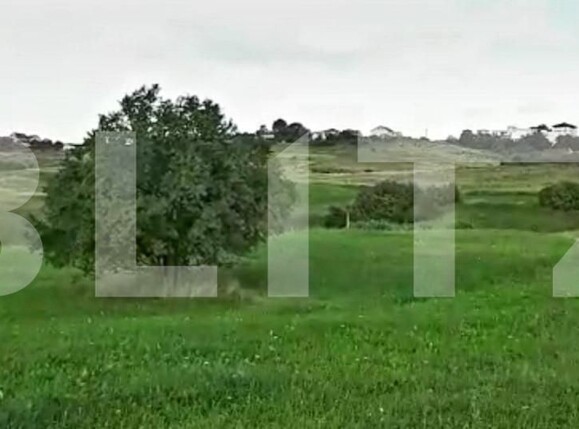 Teren de vânzare Borhanci - 147222TV | BLITZ Cluj-Napoca | Poza1