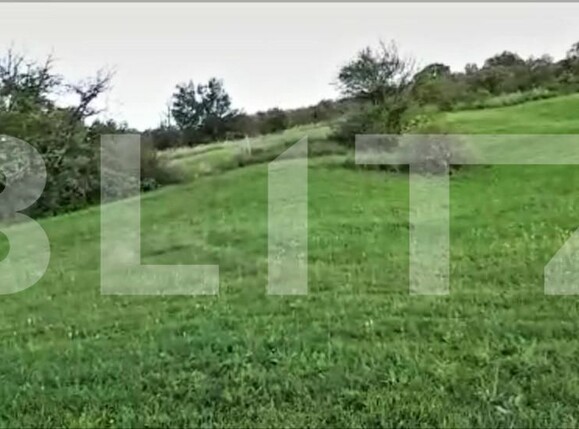 Teren de vânzare Borhanci - 147222TV | BLITZ Cluj-Napoca | Poza10