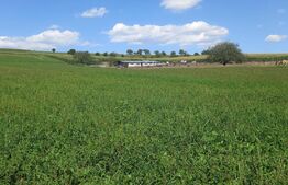 Teren de investitie zona Filea Craiesti 