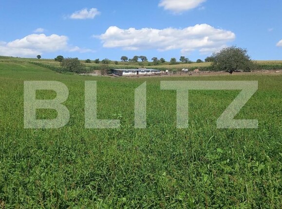 Teren de vânzare Exterior Vest - 147223TV | BLITZ Cluj-Napoca | Poza2