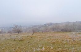 OPORTUNITATE! Teren intravilan, 816 mp, utilitati in zona , Borhanci- str Romul Ladea