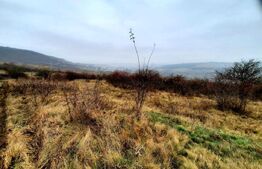 Oportunitate de investitie! Teren cu suprafata de 4050mp, in comuna Baciu 