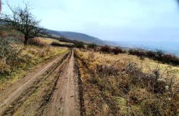 Oportunitate de investitie! Teren cu suprafata de 4050mp, in comuna Baciu 