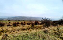 Oportunitate de investitie! Teren cu suprafata de 4050mp, in comuna Baciu 