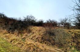 Oportunitate de investitie! Teren cu suprafata de 4050mp, in comuna Baciu 