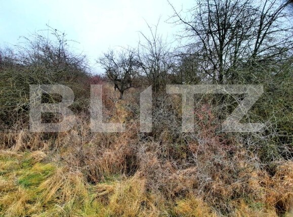 Teren de vânzare Baciu - 147226TV | BLITZ Cluj-Napoca | Poza6