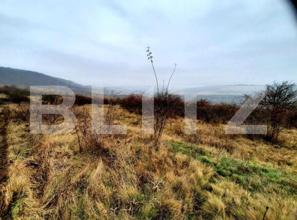 Teren de vânzare Baciu - 147226TV | BLITZ Cluj-Napoca | Poza4