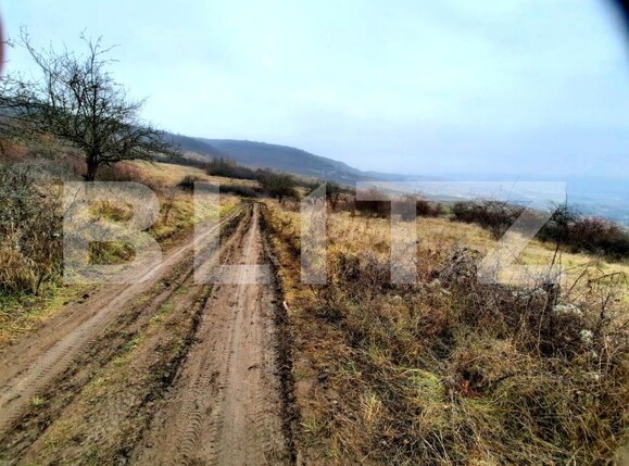 Teren de vânzare Baciu - 147226TV | BLITZ Cluj-Napoca | Poza3