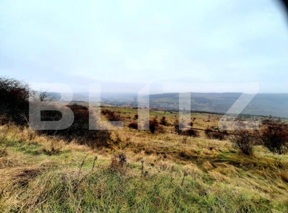 Teren de vânzare Baciu - 147226TV | BLITZ Cluj-Napoca | Poza1