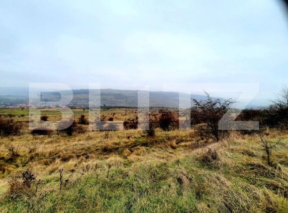 Teren de vânzare Baciu - 147226TV | BLITZ Cluj-Napoca | Poza2