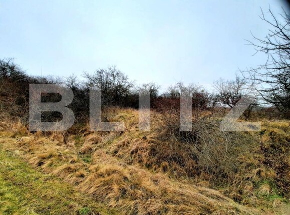 Teren de vânzare Baciu - 147226TV | BLITZ Cluj-Napoca | Poza5