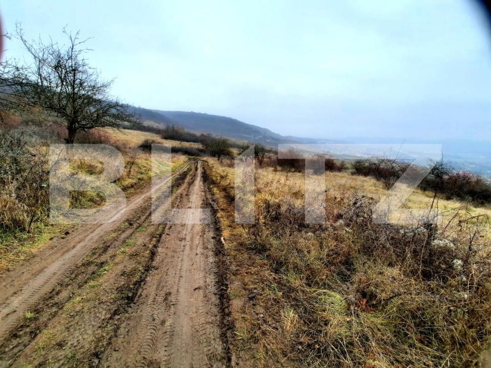 Teren de vânzare Baciu - 147226TV | BLITZ Cluj-Napoca | Poza3