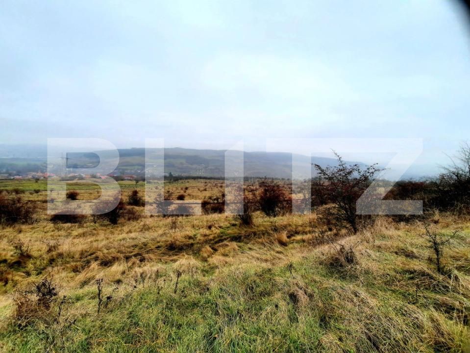 Teren de vânzare Baciu - 147226TV | BLITZ Cluj-Napoca | Poza2