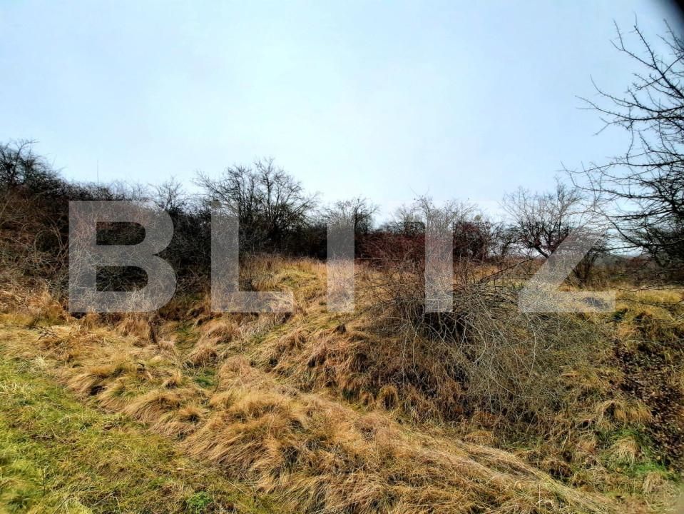 Teren de vânzare Baciu - 147226TV | BLITZ Cluj-Napoca | Poza5