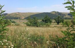 Vand teren extravilan in Stolna suprafata 2550 mp, front 37 utilitati in zona