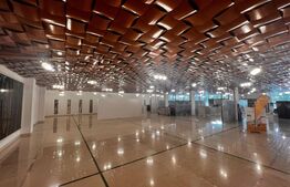 Showroom superfinisat, zona excelenta 